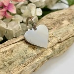 Blank design your own - Personalised Heart Shaped 25mm Stainless Steel Pet ID Tag