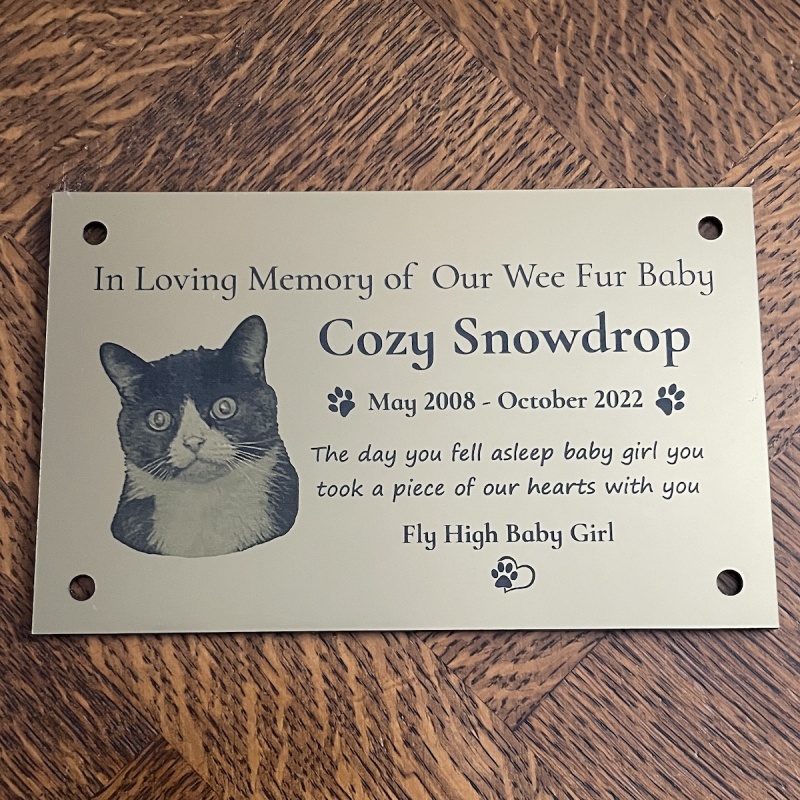 Memorial Plaque in Remembrance Dog Cat Pet Plaque with Photograph Personalised 15 x 9.5 cm / 6 x 3.75 inch - we also offer custom sizes