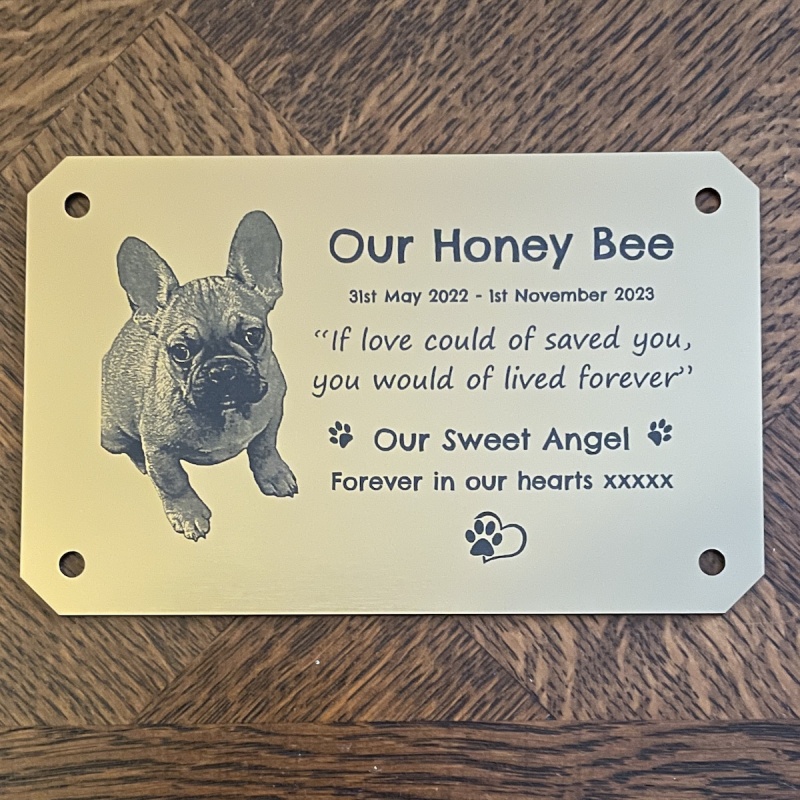 Memorial Plaque in Remembrance Dog Cat Pet Plaque with Photograph Personalised 15 x 9.5 cm / 6 x 3.75 inch - we also offer custom sizes