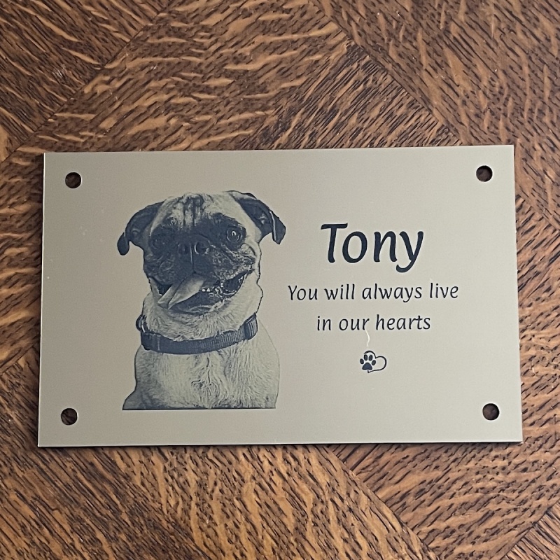 Memorial Plaque in Remembrance Dog Cat Pet Plaque with Photograph Personalised 15 x 9.5 cm / 6 x 3.75 inch - we also offer custom sizes