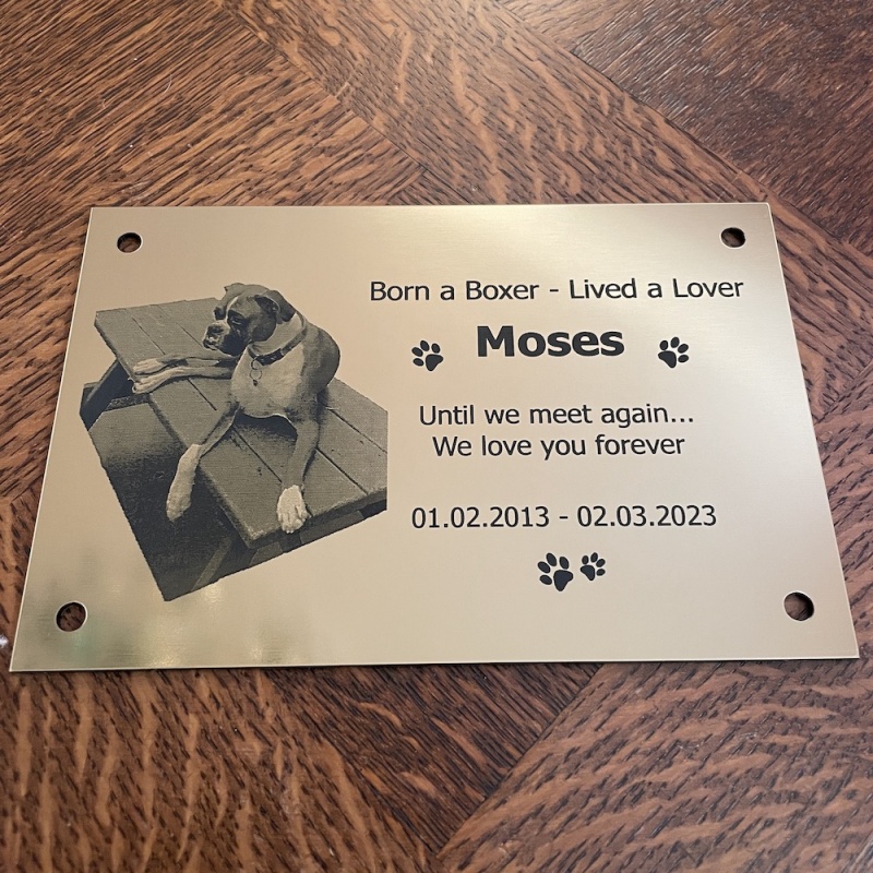 Memorial Plaque in Remembrance Dog Cat Pet Plaque with Photograph Personalised 15 x 9.5 cm / 6 x 3.75 inch - we also offer custom sizes