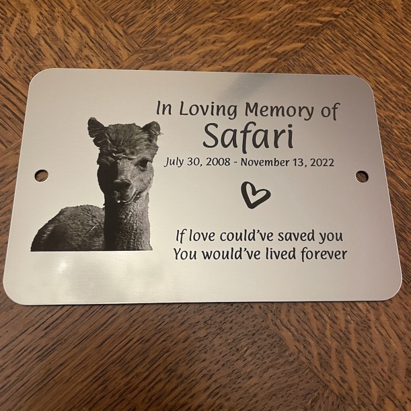 Memorial Plaque in Remembrance Dog Cat Pet Plaque with Photograph Personalised 15 x 9.5 cm / 6 x 3.75 inch - we also offer custom sizes