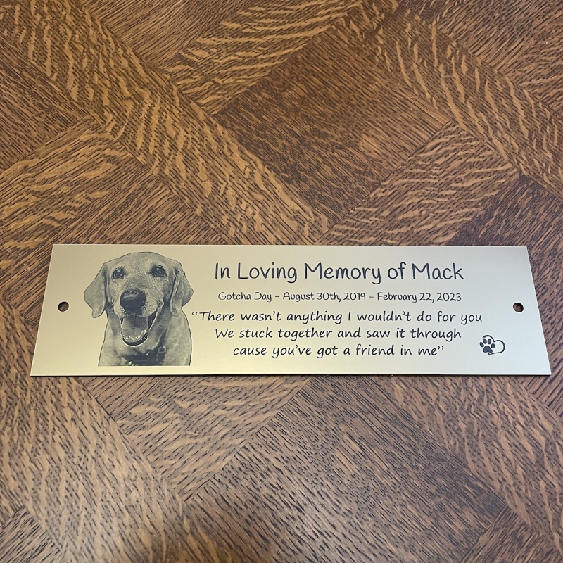 Memorial plaque in remembrance Dog Cat Pet outdoor bench plaque with photograph personalised 25 x 7cm  9.84 x 2.75 inch various colours we also offer custom sizes