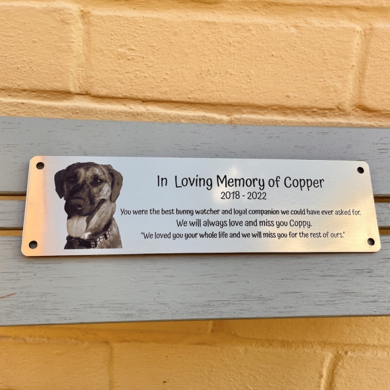 Memorial plaque in remembrance Dog Cat Pet outdoor bench plaque with photograph personalised 25 x 7cm  9.84 x 2.75 inch various colours we also offer custom sizes