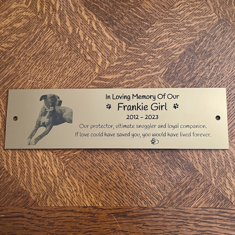 Memorial plaque in remembrance Dog Cat Pet outdoor bench plaque with photograph personalised 25 x 7cm  9.84 x 2.75 inch various colours we also offer custom sizes