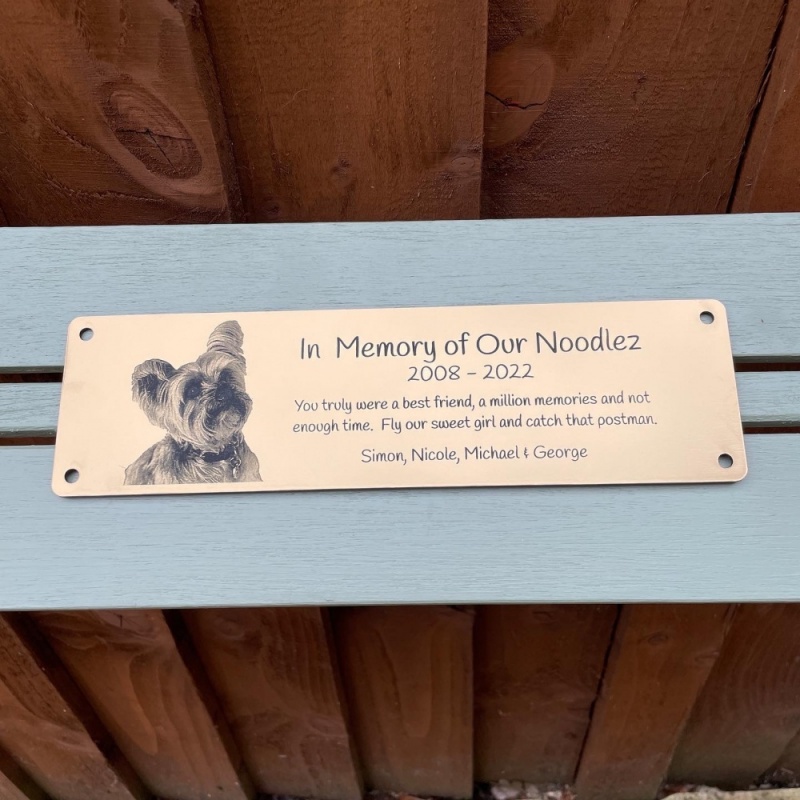 Memorial Plaque in Remembrance Dog Cat Pet Outdoor Bench Plaque with Photograph Personalised 25 x 7cm / 9.84 x 2.75 inch - we also offer custom sizes