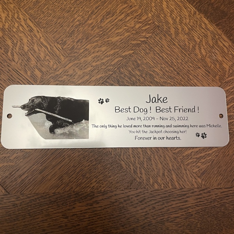 Memorial plaque in remembrance Dog Cat Pet outdoor bench plaque with photograph personalised 25 x 7cm  9.84 x 2.75 inch various colours we also offer custom sizes