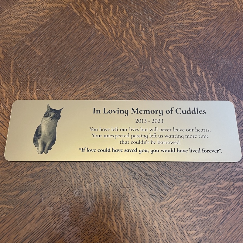 Memorial plaque in remembrance Dog Cat Pet outdoor bench plaque with photograph personalised 25 x 7cm  9.84 x 2.75 inch various colours we also offer custom sizes