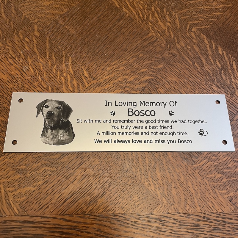 Memorial Plaque in Remembrance Dog Cat Pet Outdoor Bench Plaque with Photograph Personalised 25 x 7cm / 9.84 x 2.75 inch - we also offer custom sizes