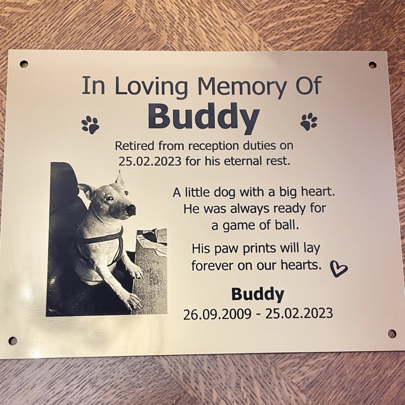 Memorial plaque in remembrance Dog Cat Pet plaque with photograph personalised custom size memorial plaques 25 x 20 cm 9.84 x 7.87 inch various colours